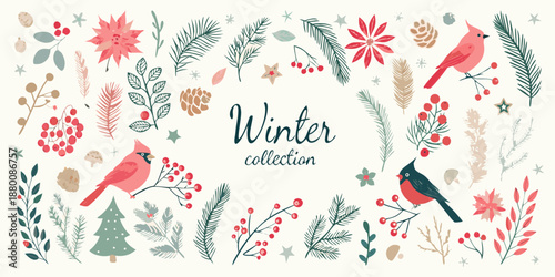 Festive winter botanical illustration featuring cardinals berries and seasonal foliage