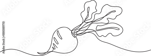 Continuous one line drawing of beetroot. Isolated on white background vector illustration. one line Art icon drawing vector