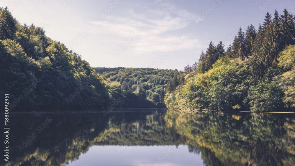 Fototapeta premium Lake surrounded by green forest