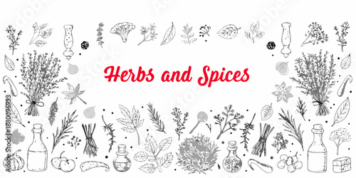 An artistic illustration of various herbs spices and botanical elements