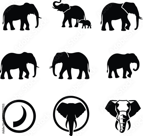 Collection of different silhouette of elephant