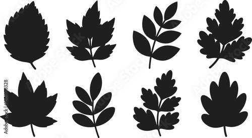 Silhouette of various leaf shapes on white background