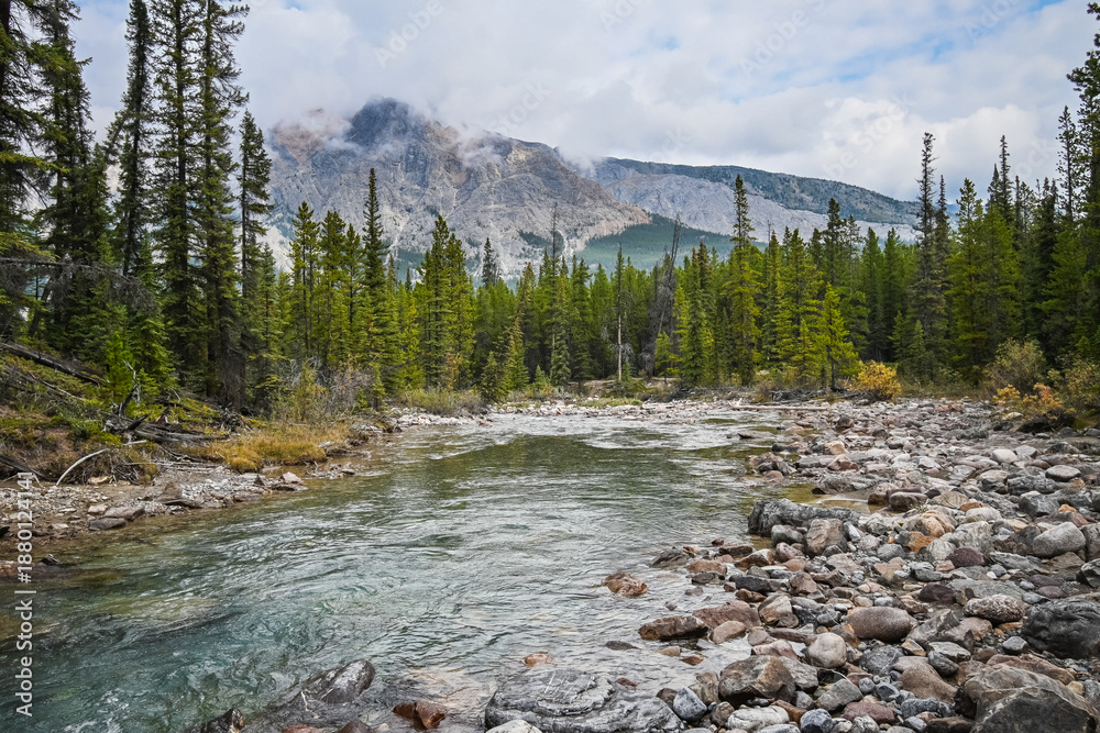 Fototapeta premium River Among Mountains, AB, Canada