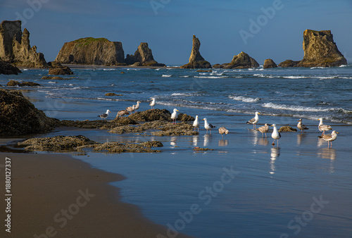 Bandon Beach, Oregon USA