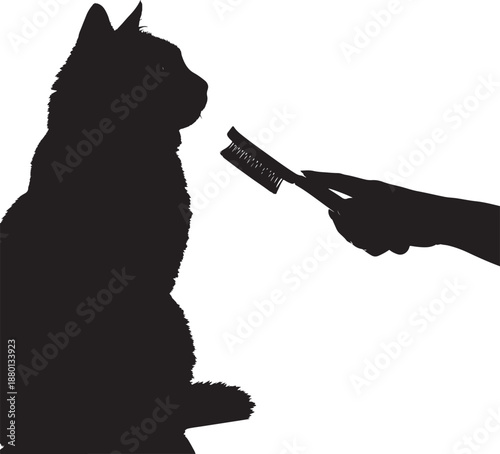 Silhouette of a person's hand grooming a fluffy domestic cat with a hairbrush