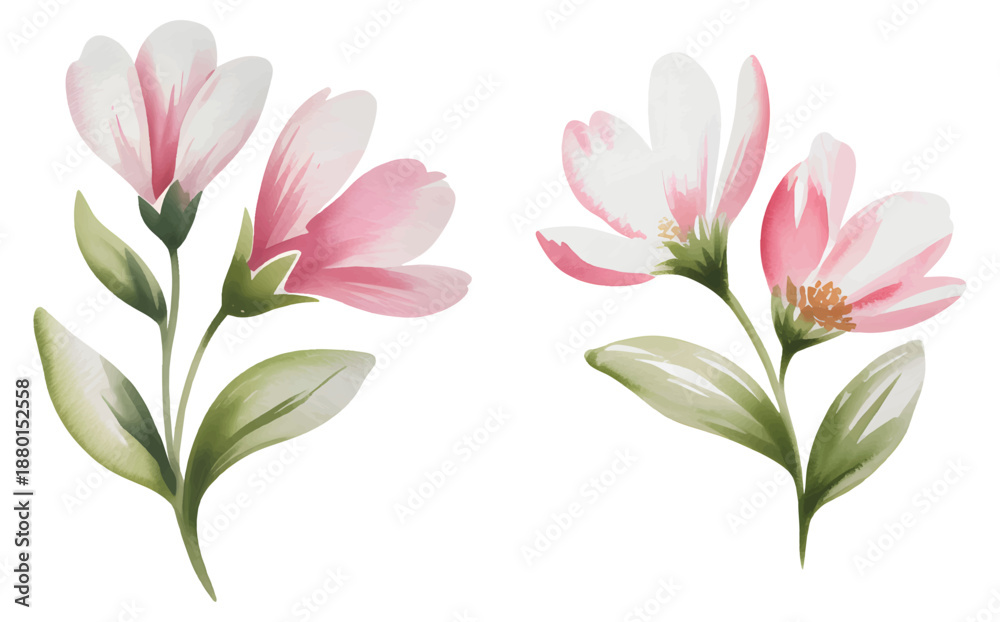Obraz premium Pink watercolor flowers with green leaves isolated on white background. 