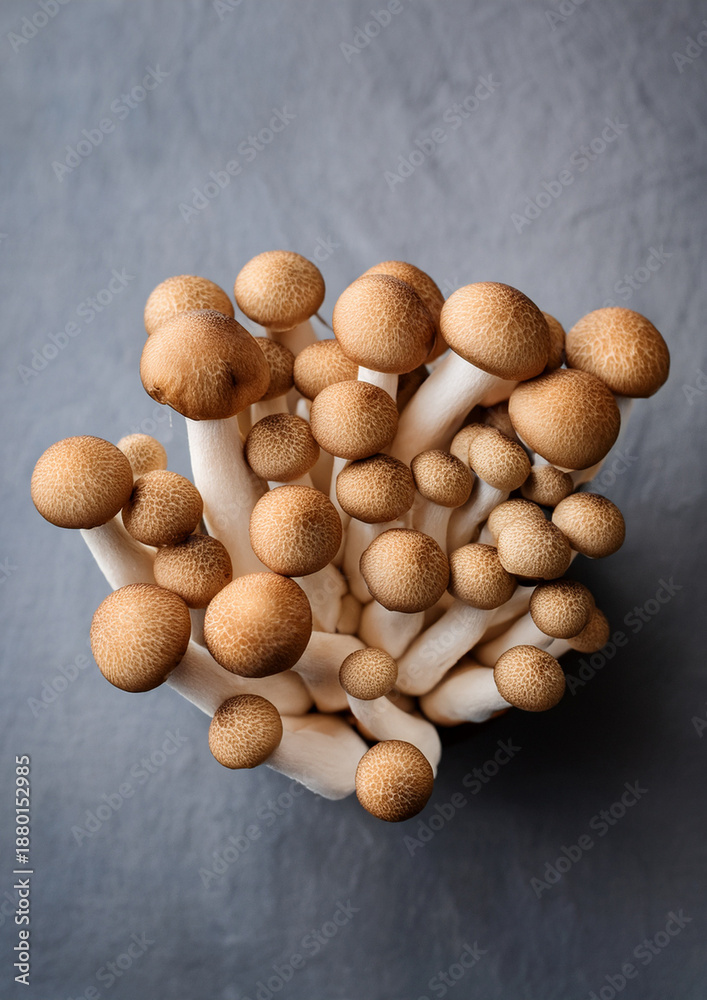 Obraz premium fresh mushrooms on a white background.