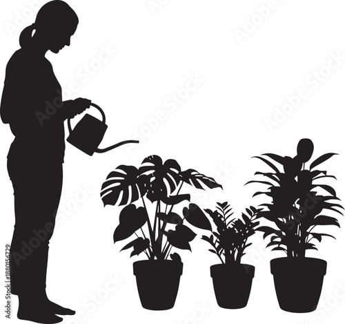 Silhouette of a woman using a watering can to care for indoor potted plants, hobby and growth concept
