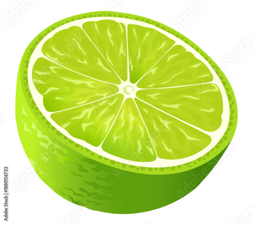 Lime Cross Section Citrus Fruit Illustration