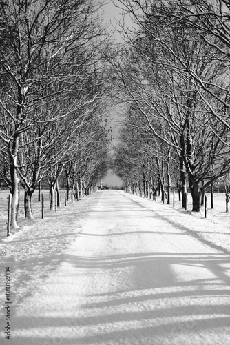 Snow days 
