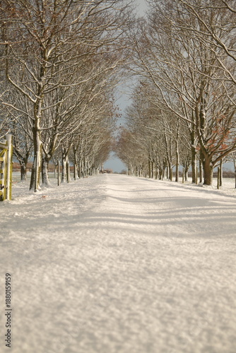 Snowy drive