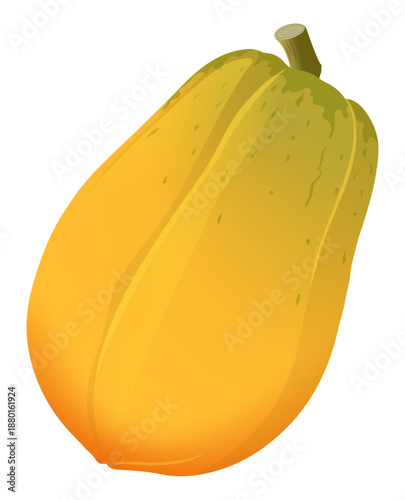Papaya Tropical Fruit Vector Illustration