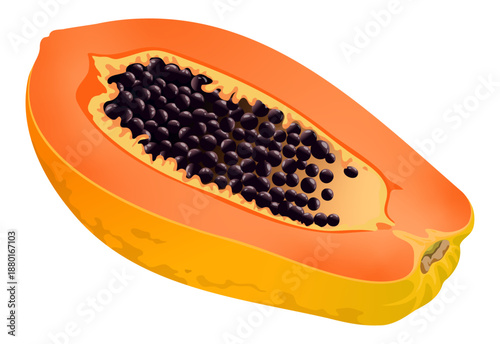 Cut Papaya Tropical Fruit Vector Illustration