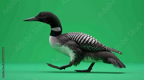 Male Loon Walking Smoothly Wildlife Bird Full Body Nature Scene Generative AI