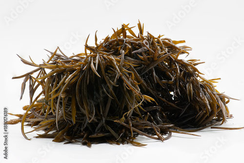 An image of long, thin, dark brown stems of seaweed freely scattered over a clean white background.