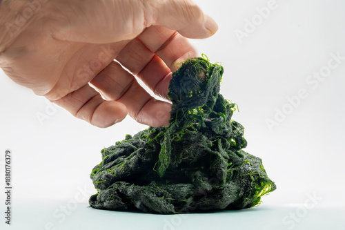 Image of dark green seaweed in a round shape on a white plate, showing a fine, delicate thread-like texture. Korean food ingredients used.