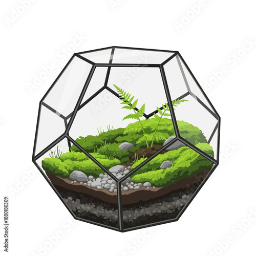 A glass terrarium containing lush greenery and ferns, viewed from above, showcasing a miniature landscape in a geometric container.