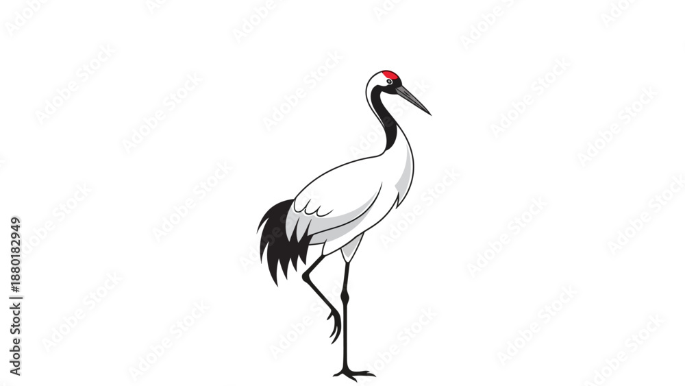 Fototapeta premium Red Crowned Crane Standing Elegant Bird Illustration