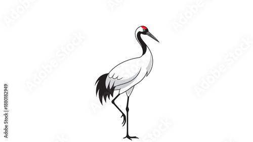 Red Crowned Crane Standing Elegant Bird Illustration