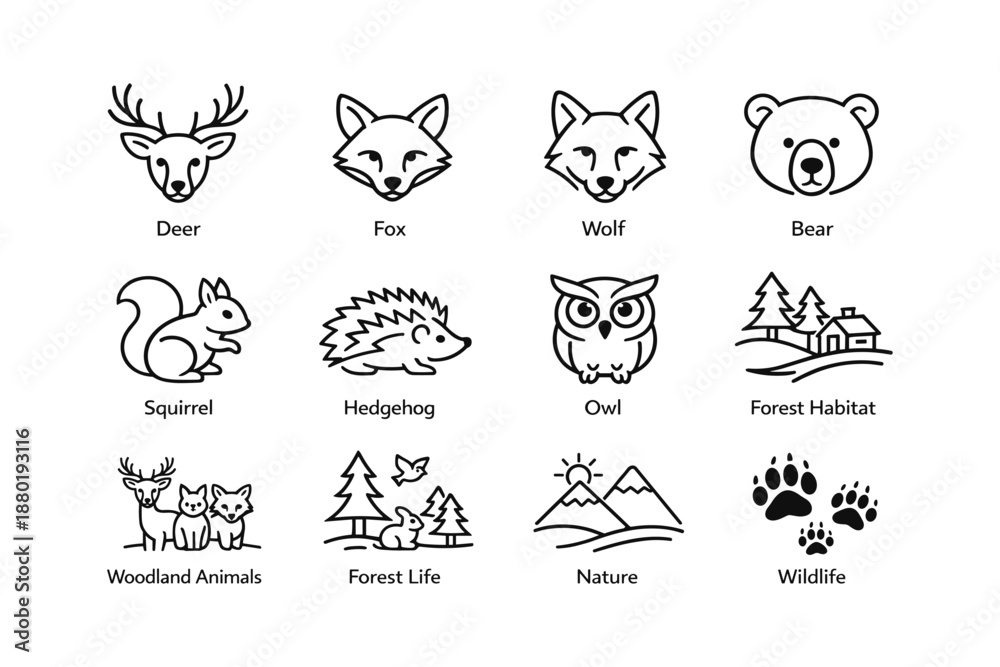 Fototapeta premium Woodland animals and forest life line art illustrations