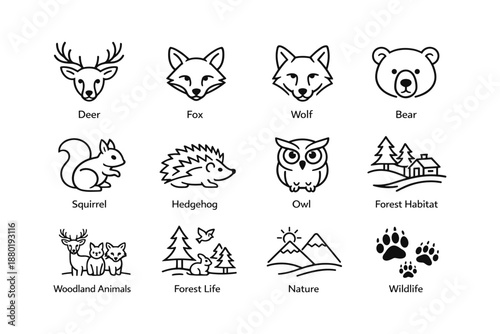 Woodland animals and forest life line art illustrations