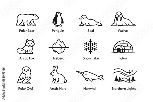 Arctic animals and icons: polar bear, penguin, seal, walrus, arctic fox, and more