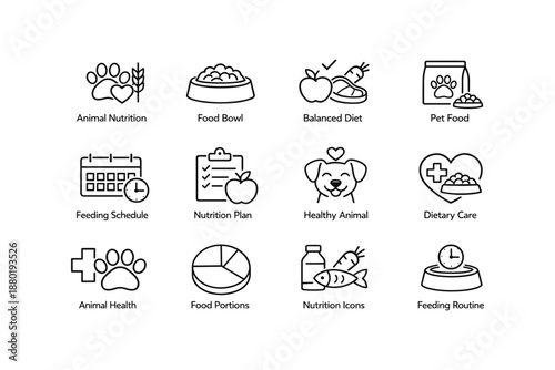 Pet nutrition and care: food, health plans, and feeding routines