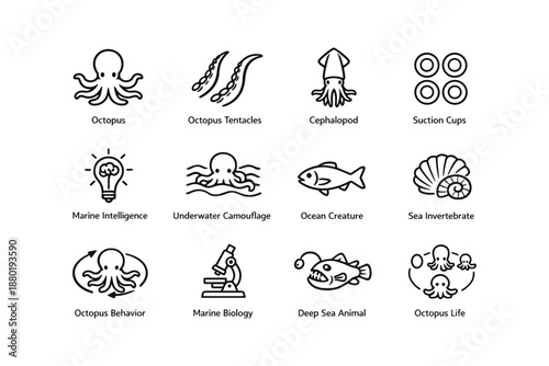 Octopus icon set: marine life, cephalopod, underwater, intelligence, biology