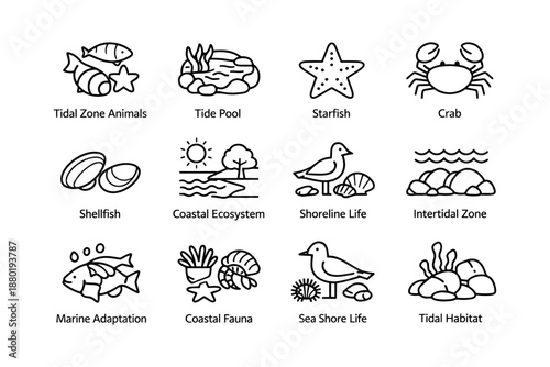 Coastal marine icons: starfish, crab, shellfish, fish, tidal zone, tide pool, shoreline life