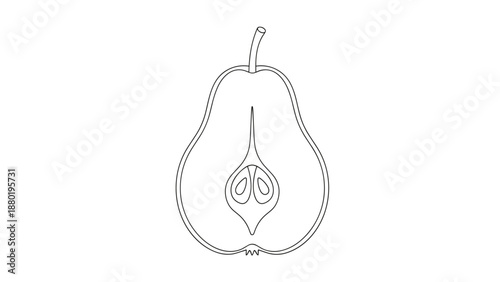 Longitudinal cross section of a pear showing the core and seeds in a clean and minimal black and white line art vector style.