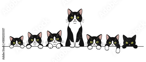 A delightful row of black and white tuxedo cats and all black kittens peeking over a horizontal line displaying various curious expressions black cat cute animal feline pets humorous