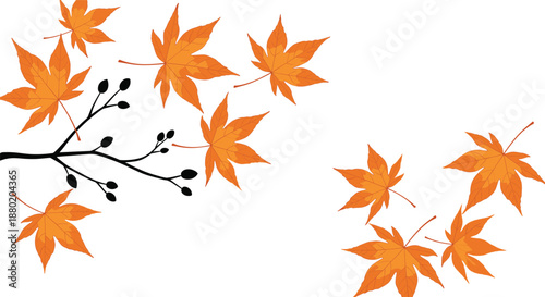 Vibrant orange maple leaves with a budding tree branch vector illustration for autumn seasonal designs.