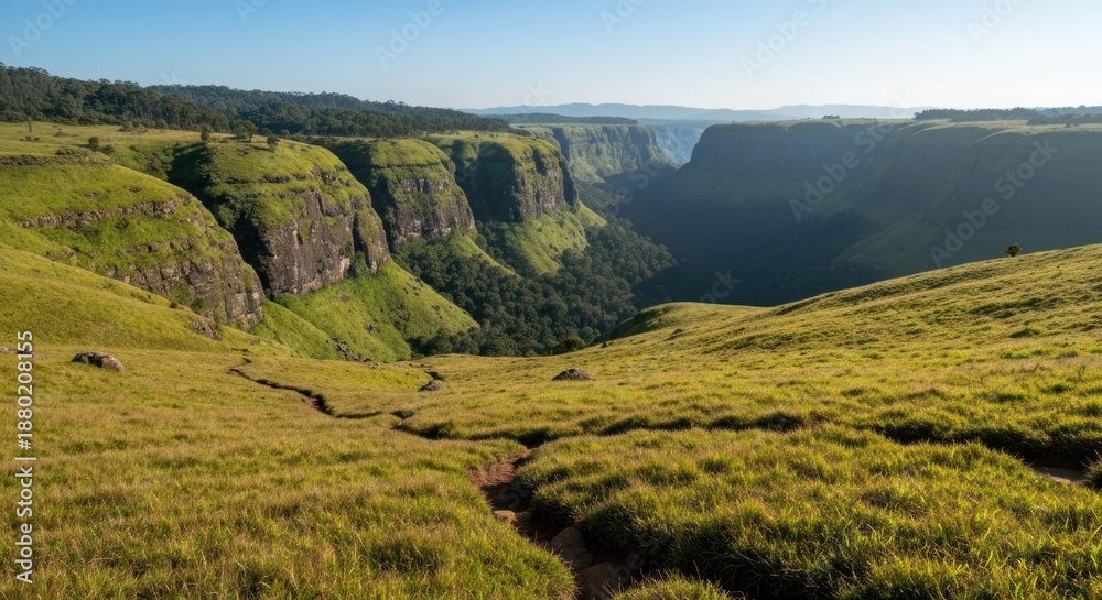 Obraz premium A verdant canyon vista under a clear blue sky, grassy slopes lead to a deep gorge