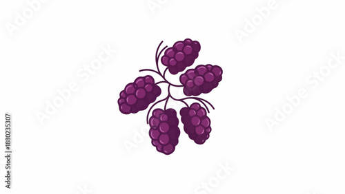 Illustration of a cluster of purple blackberries against a white background.