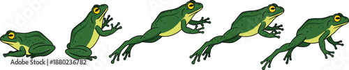 Green frog jumping animation sequence vector illustration showing movement stages from sitting to leaping isolated on white background for nature education design.