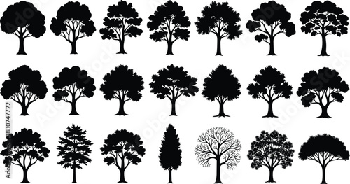 Big set of black deciduous and evergreen tree silhouettes isolated on white background for nature landscape design botanical forest vector illustration and environmental wood conservation
