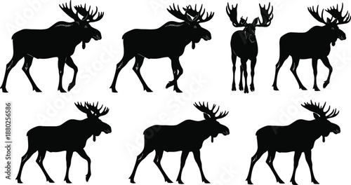 Black Silhouette Collection of Seven Moose in Various Walking Poses and Profiles Isolated on White Background Representing Wild Nature Forest Animals and Northern Wildlife Vector