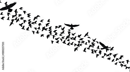 Black Silhouette Flock of Migrating Birds Flying in Formation Isolated on White Background, Group of Wild Birds Soaring in Sky Nature Wildlife Vector Illustration