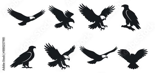 Graphic eagle set featuring birds of prey in flying, landing, and perching poses for wildlife and emblem designs