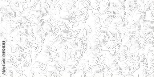 Modern Abstract Wavy Contour Line Pattern