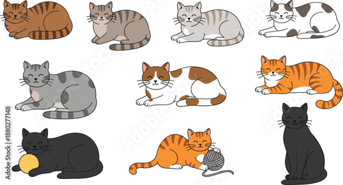 Cute domestic cat characters set in different poses flat cartoon vector illustration isolated on white background