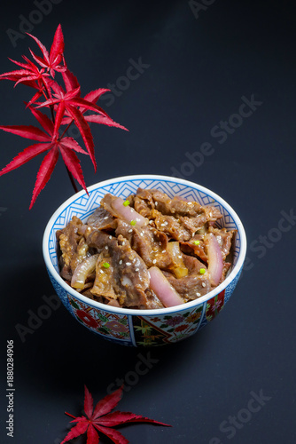 Japanese Gyudon Beef Rice Bowl Food Template