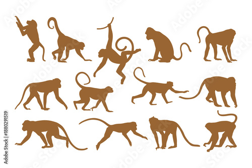 monkey silhouette collection set with various poses and positions