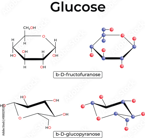 Glucose and Fructose Haworth Projections and Balland Stick Models