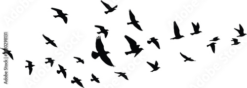 Black bird silhouettes flying in a flock isolated on white background representing freedom nature migration wildlife and minimalist decorative graphic design elements for projects