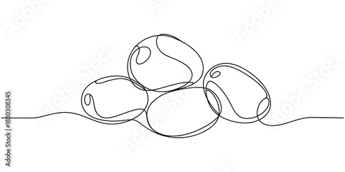Canvas Print Continuous line drawing healthy organic potatoes Fresh spud root vegetable plant icon vector illustration concept, potato continuous one line drawing, Potatoes vector illustration