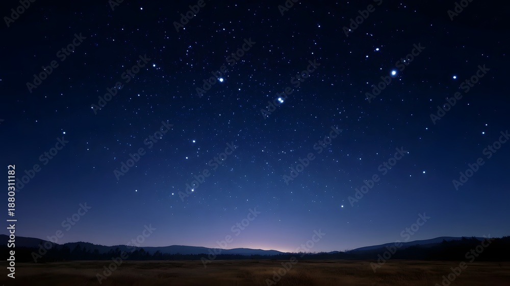 Fototapeta premium Starry night sky above the dark horizon