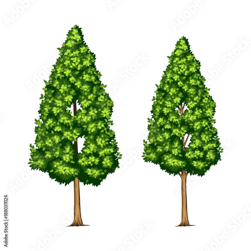 
Evergreen Conifer Trees Collection – Spruce, Fir, Pine, Cedar and Cypress Tree Vector Illustration for Forest, Nature and Winter Landscape Design