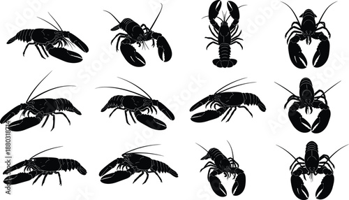 Black lobster silhouettes in grid arrangement showing multiple poses and orientations for seafood anatomy, marine life, culinary, educational design