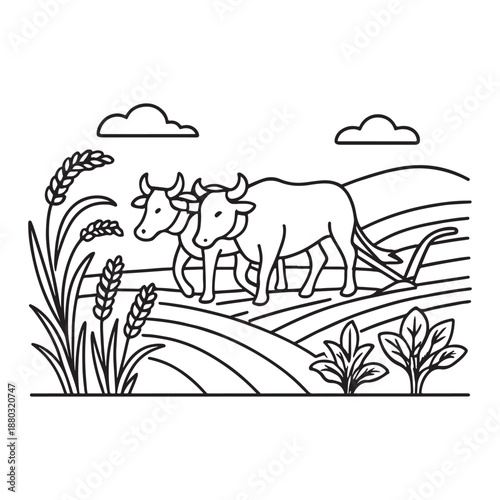 Traditional Farming Illustration with Oxen Plowing the Field Line Art Drawing